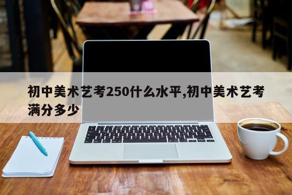 初中美术艺考250什么水平,初中美术艺考满分多少