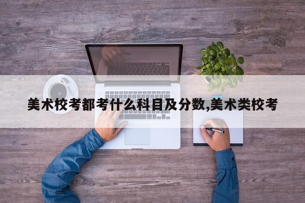 美术校考都考什么科目及分数,美术类校考